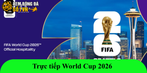 Trực tiếp World Cup 2026: Cuộc đua bản quyền và hướng dẫn xem chi tiết